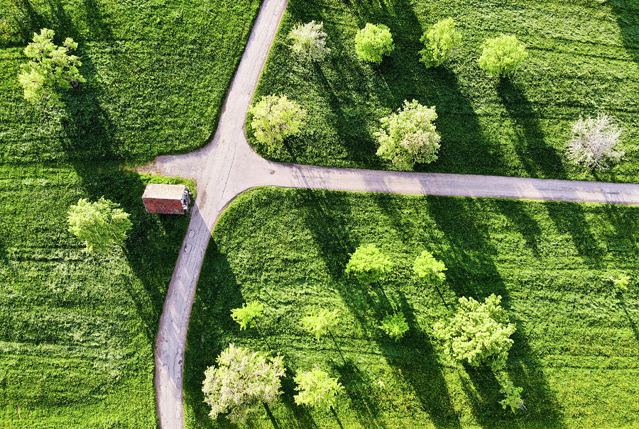 Green meadow with trees and shadows aerial view Photograph by Matthias Hauser