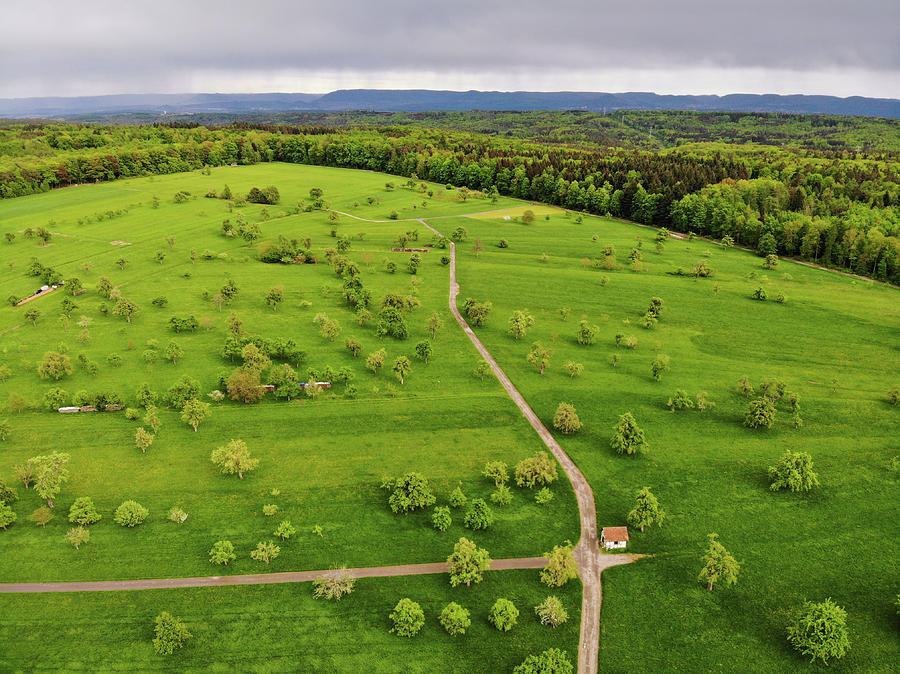 Green meadow with trees in Germany aerial Photograph by Matthias Hauser