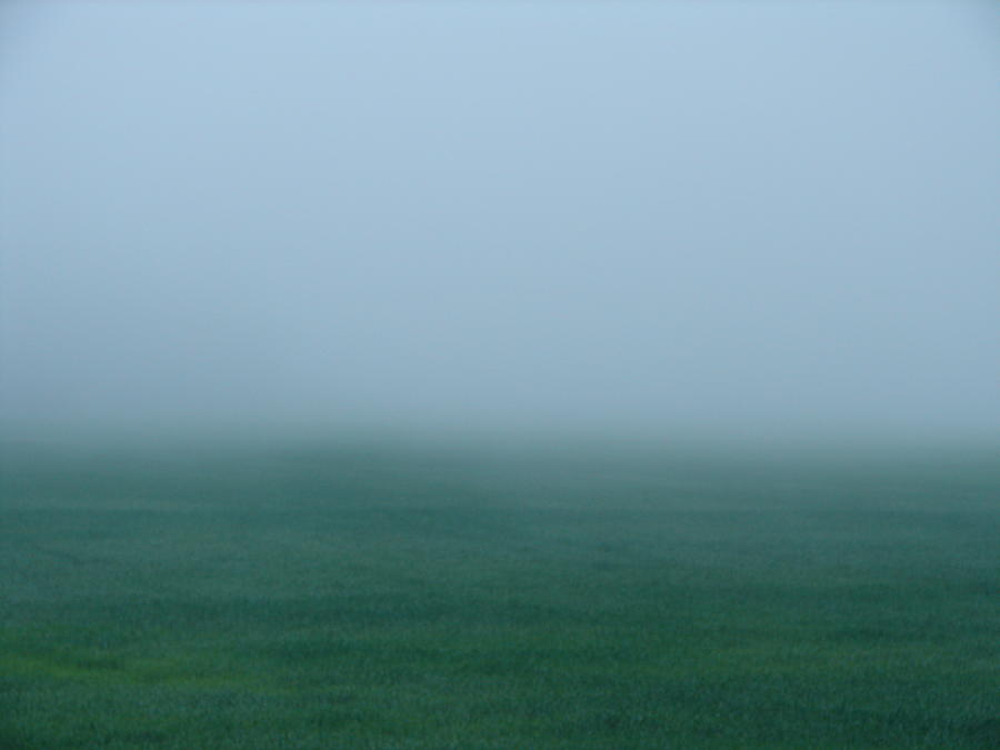Green Mist Wonder Photograph by Carrie Godwin