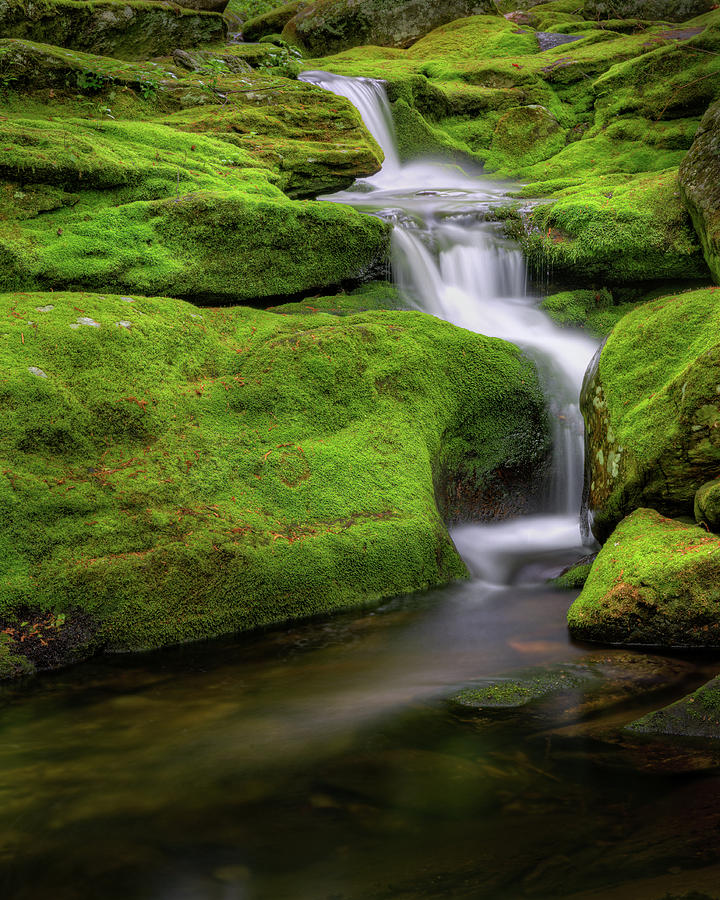 Green Moss Falls Photograph by Bill Wakeley