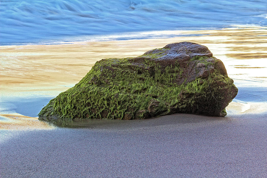 Green Mossy Sea Boulder Photograph by Viktor Savchenko