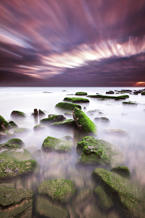 Green motion Photograph by Jorge Maia