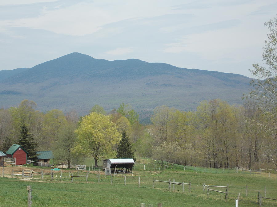 Green Mountain Range Photograph by Catherine Gagne