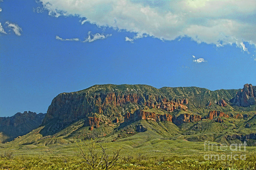 Green Moutains In Big Bend Spring Photograph by Doug Berry | Fine Art ...