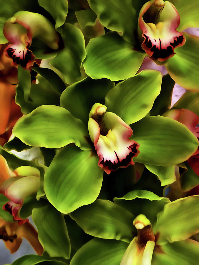 Orchid Photograph - Green Orchid Wall Art by Georgiana Romanovna