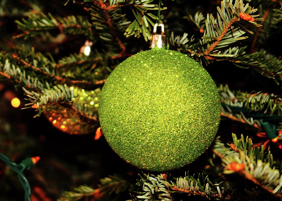 Green Ornament  Photograph by Cynthia Guinn