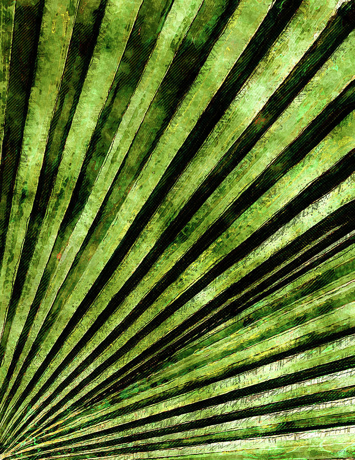 Green Palm Tree Frond Photograph by Phil Perkins
