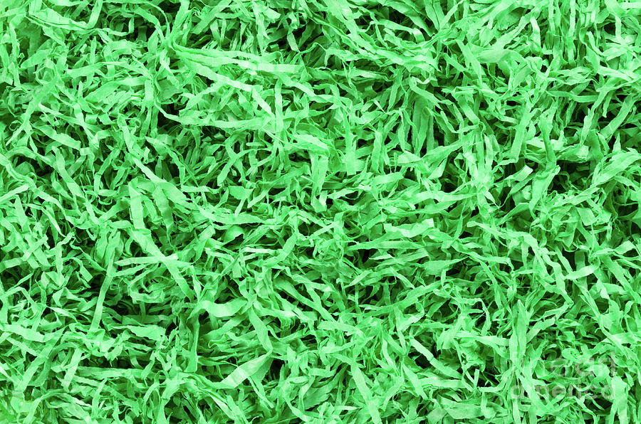 Green paper Easter grass background by Peter Hermes Furian