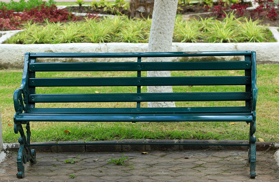 Green Park Bench Photograph by Robert Hamm - Fine Art America