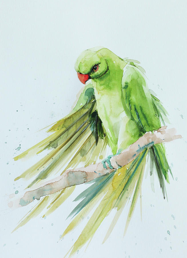 green parrot bird