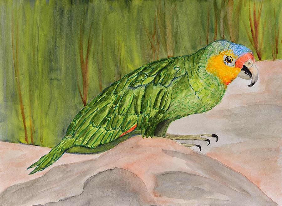 Green Parrot on a Rock Painting by Linda Brody