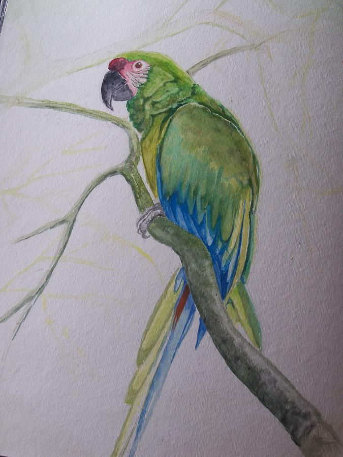 Green Parrot Painting by William Patterson - Fine Art America