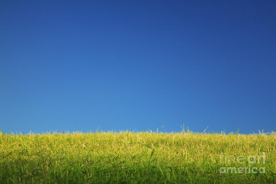 Fantasy Photograph - Green Pastures III by Brandon Tabiolo - Printscapes