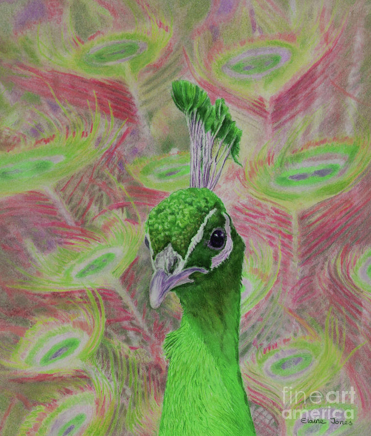 Green Peacock Painting by Elaine Jones