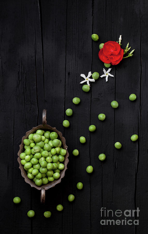 Abstract Photograph - Green Peas Artistic Background by Corina Daniela Obertas