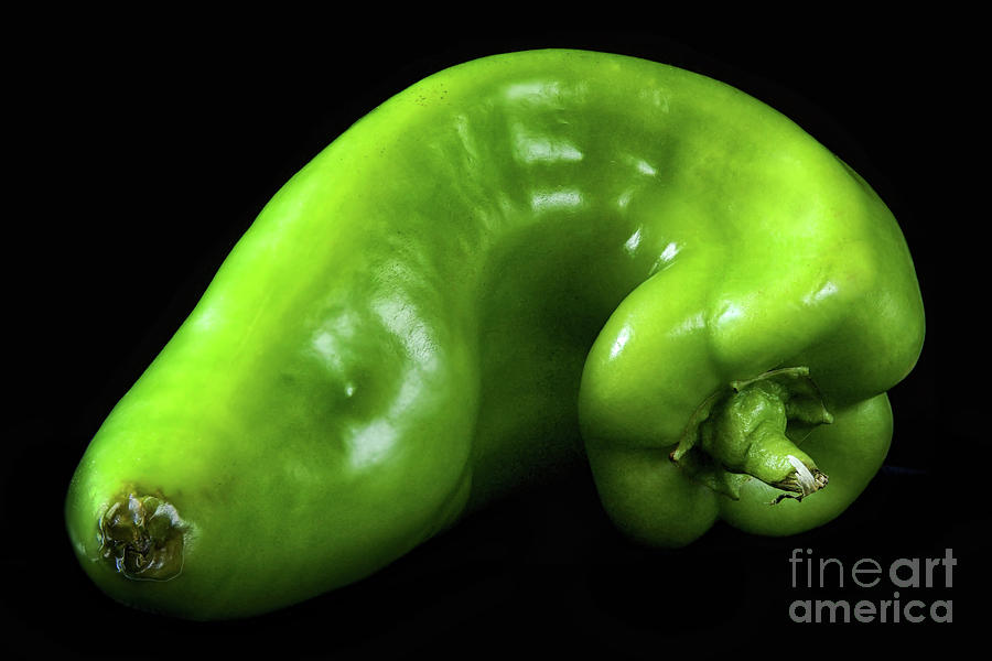 Green Pepper 2 Photograph by Mark Miller