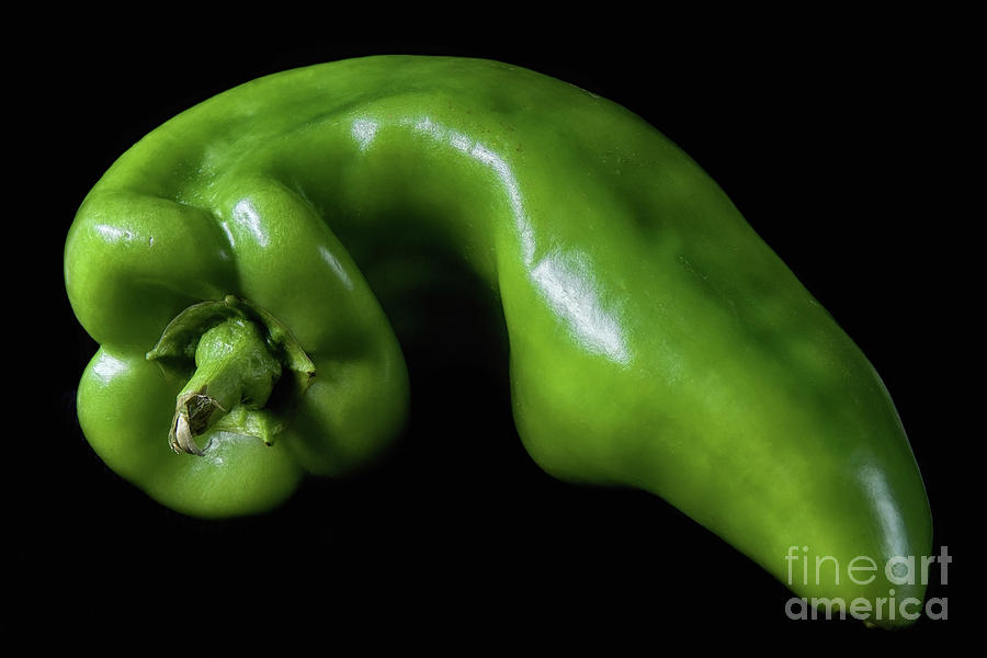 Green Pepper 3 Photograph by Mark Miller