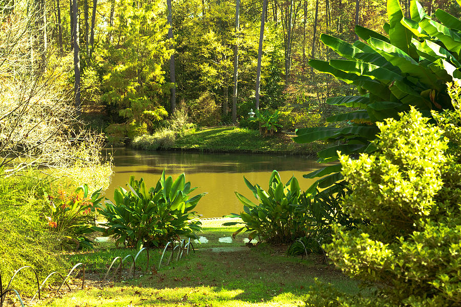 Landscape Photograph - Green Pond by William Hall Landscape Photograph - Green Pond by William Hall