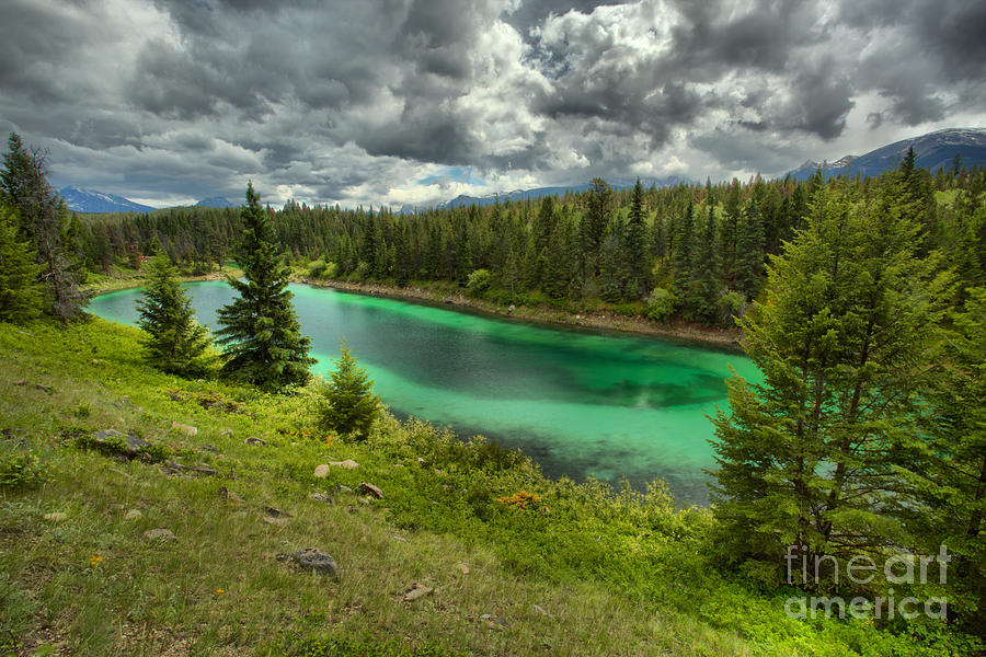 Green Pool In The Jasper Lush Forest Photograph by Adam Jewell