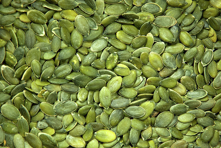 Green pumpkin seeds Photograph by Anita Van Den Broek - Fine Art America