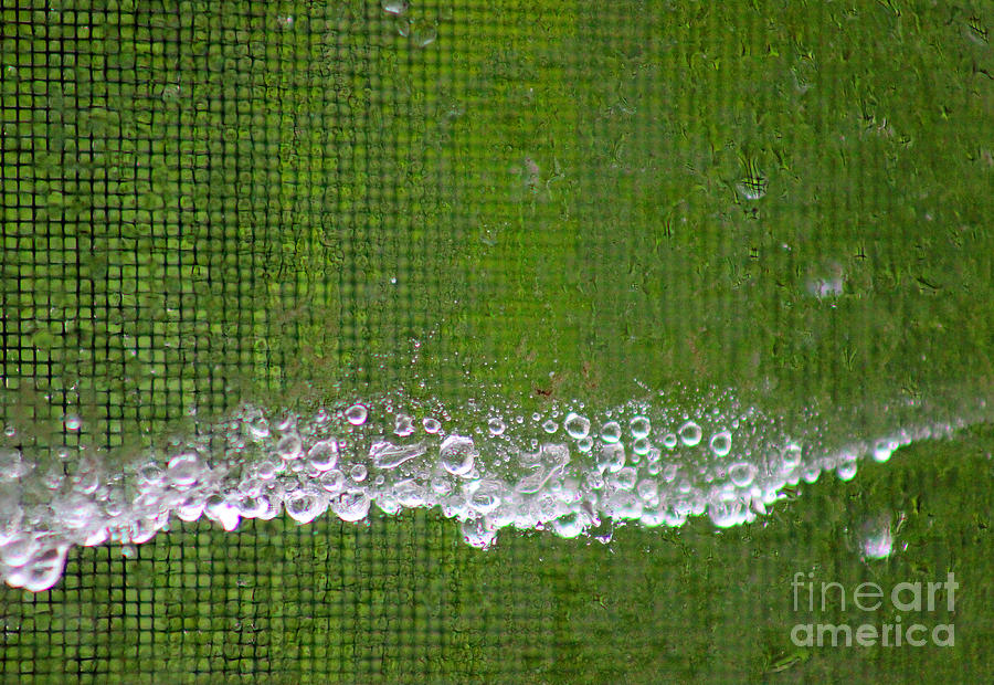 Green Rain Photograph by Karen Adams