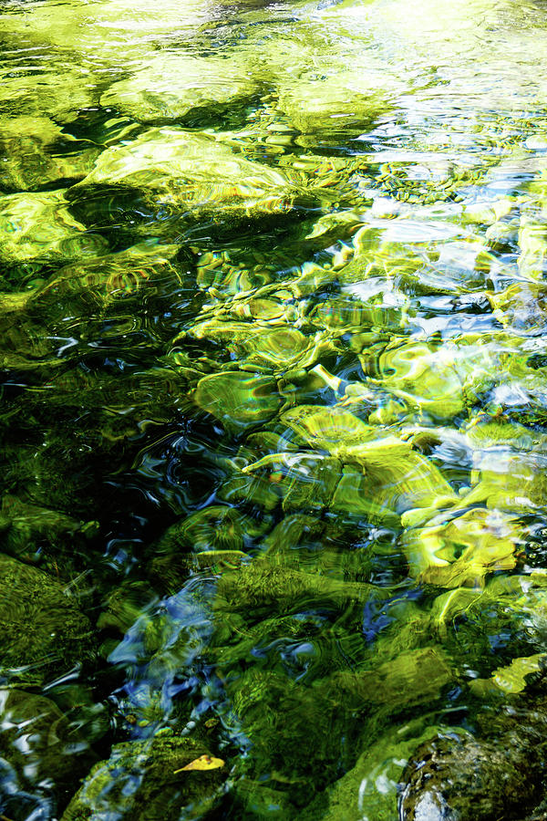 Green Reflection Photograph by Tim Dussault