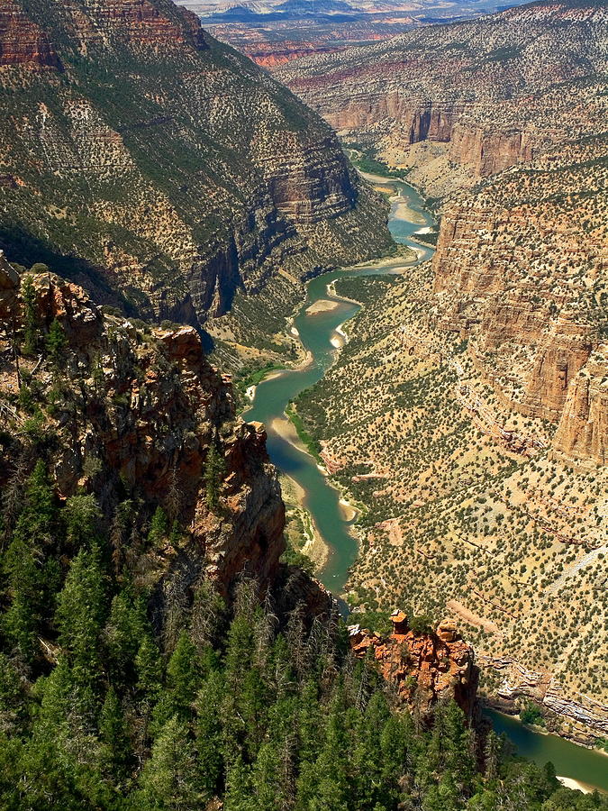 Green River Carving Canyon Photograph by Sally Weigand