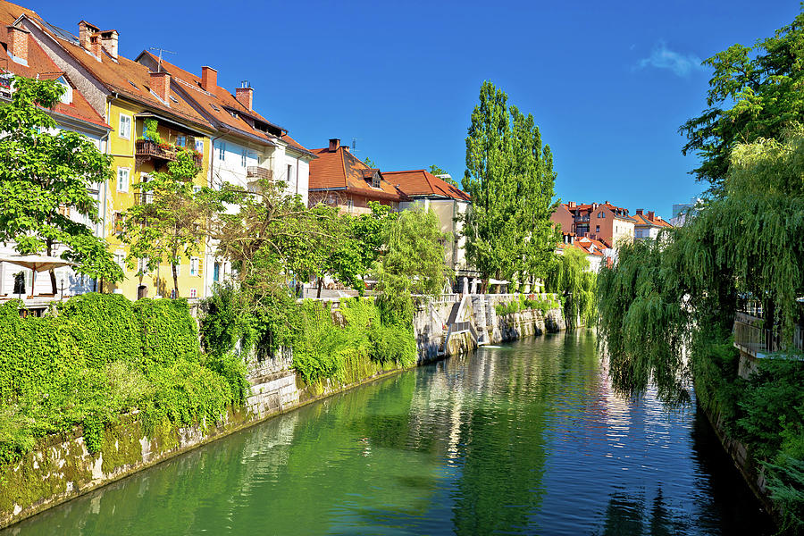 Green riverfront of Ljubljana old houses Photograph by Brch Photography ...