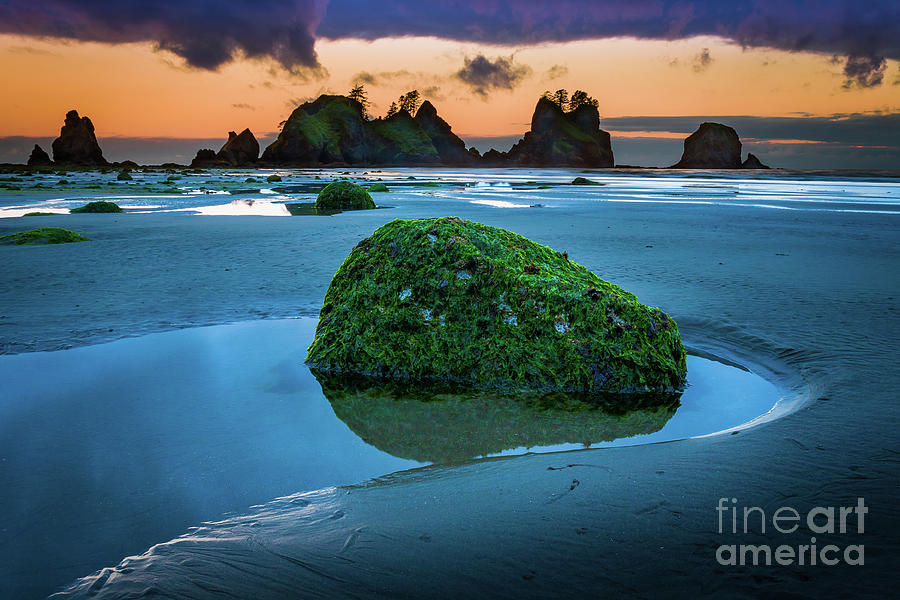Nature Photograph - Green Rock by Inge Johnsson