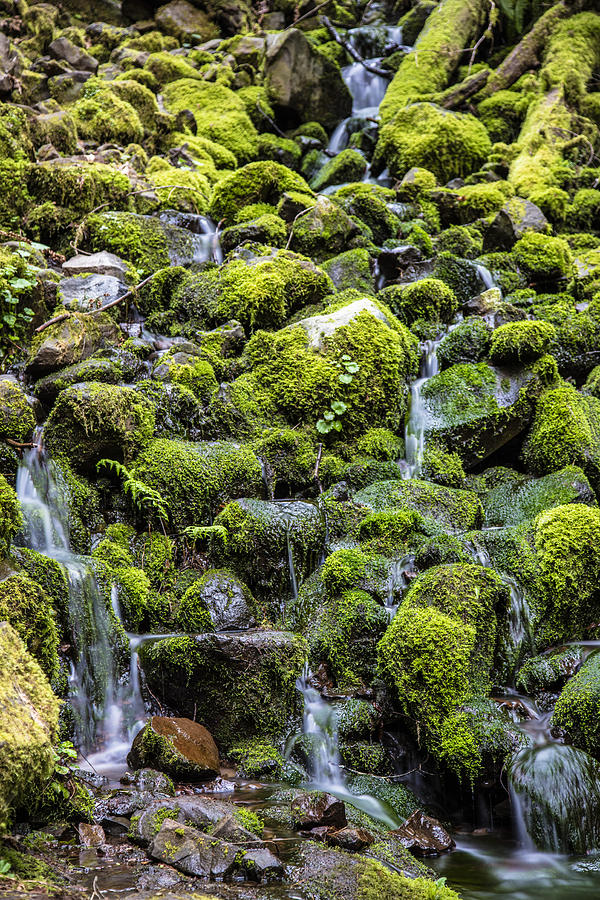 Green Rocks and Water Photograph by John McGraw