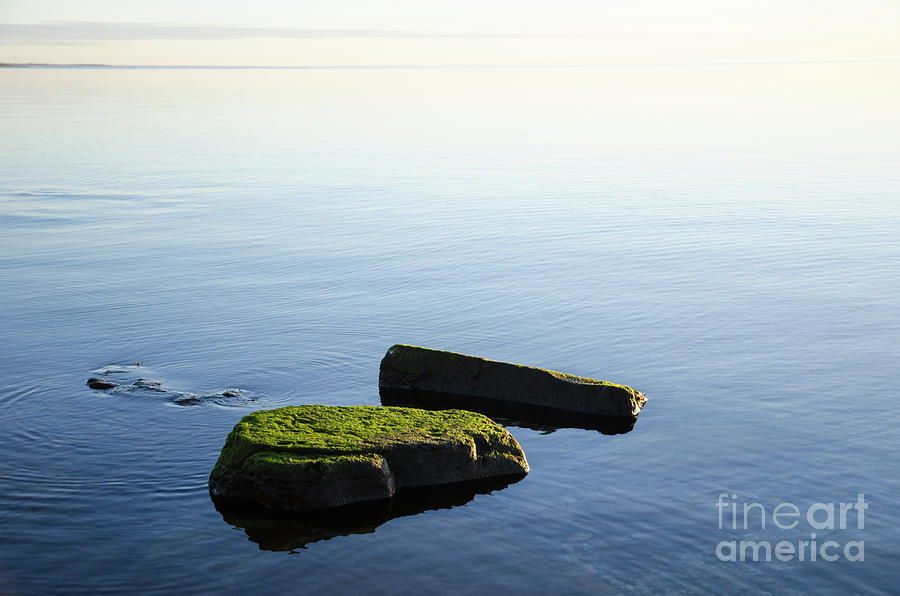 Green Rocks In Smooth Water Photograph