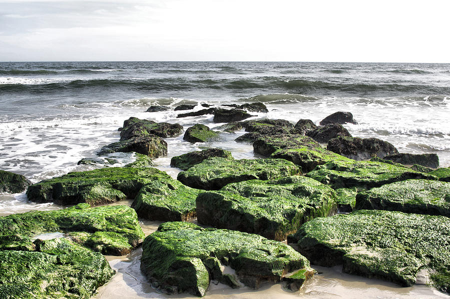 Green Rocks Photograph