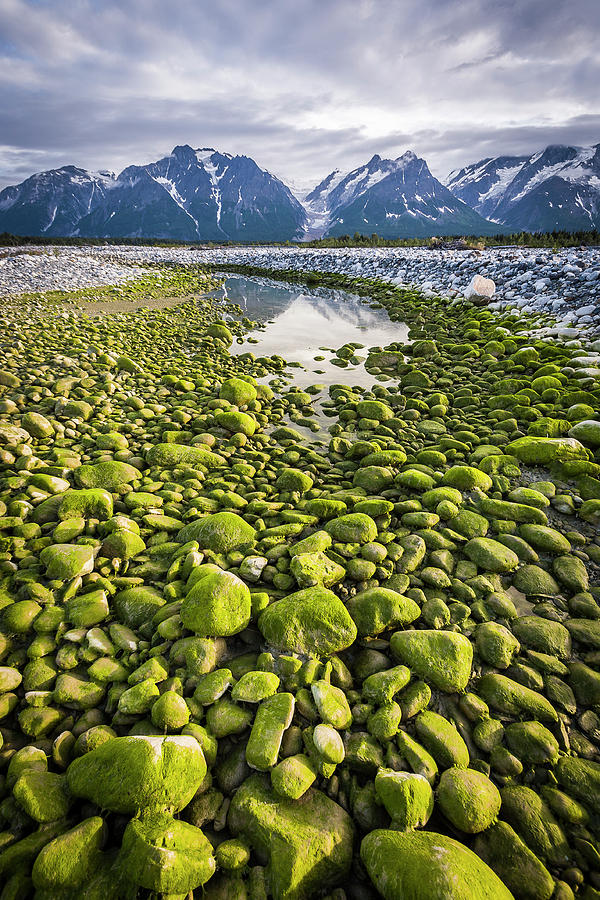 Green Rocks Photograph by Whit Richardson Green Rocks Photograph by Whit Richardson