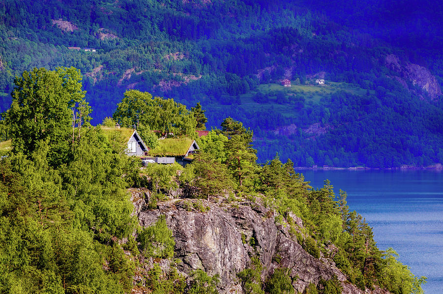 Green roofs of Lustrafjorden Photograph by Dmytro Korol