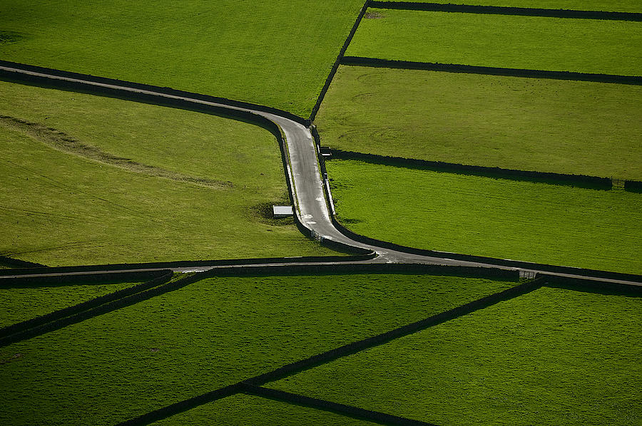 Landscape Photograph - Green by Rui Caria