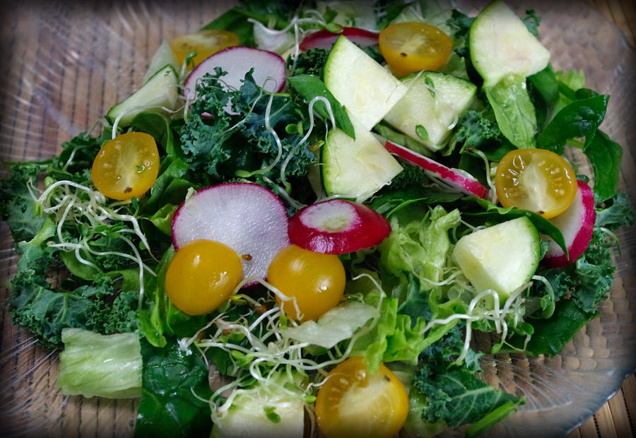 Green Salad Photograph by Adria Trail