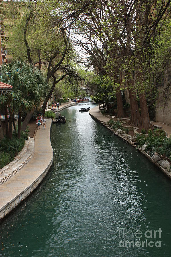 San Antonio Photograph - Green San Antonio River by Carol Groenen