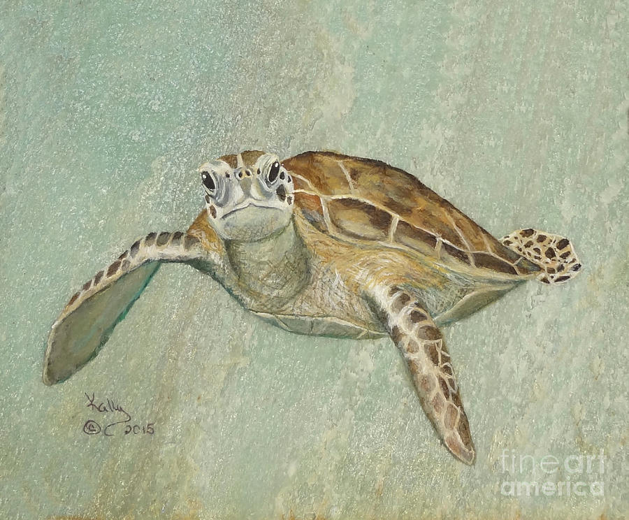 Green Sea Turtle Painting by Kally Wininger - Fine Art America