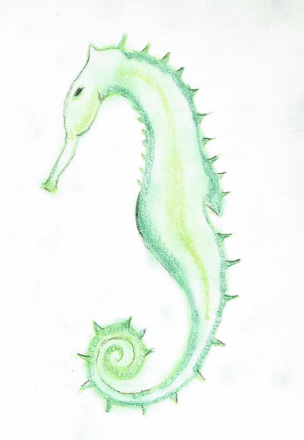 Green Seahorse Drawing by Sarah Warman