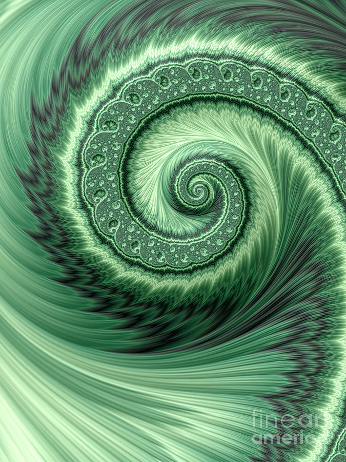 Green Shell Digital Art