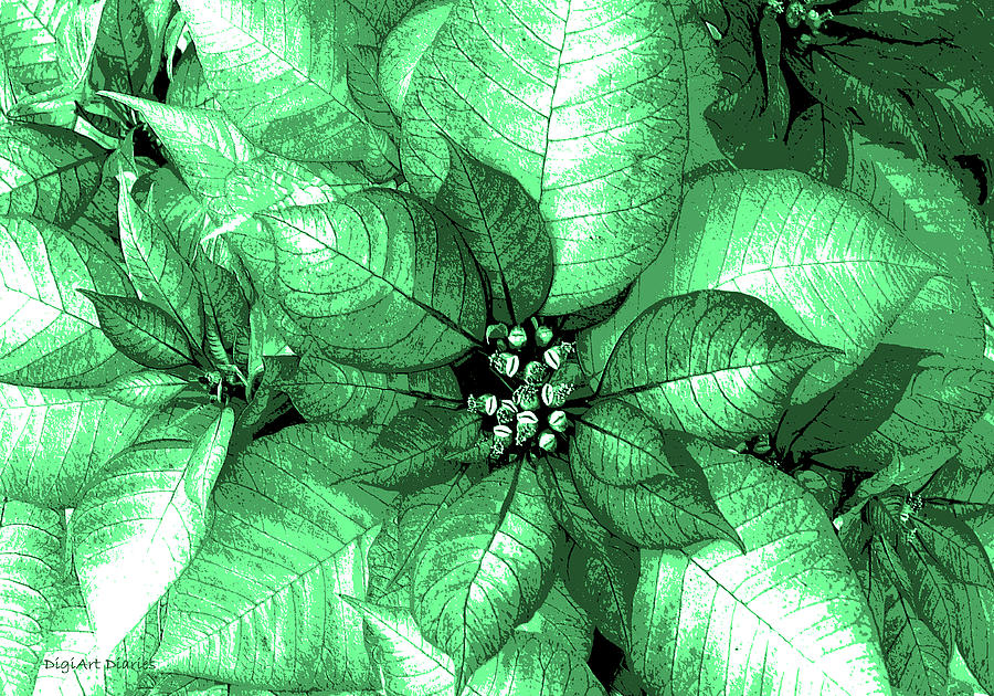 Green Shimmer Digital Art by DigiArt Diaries by Vicky B Fuller