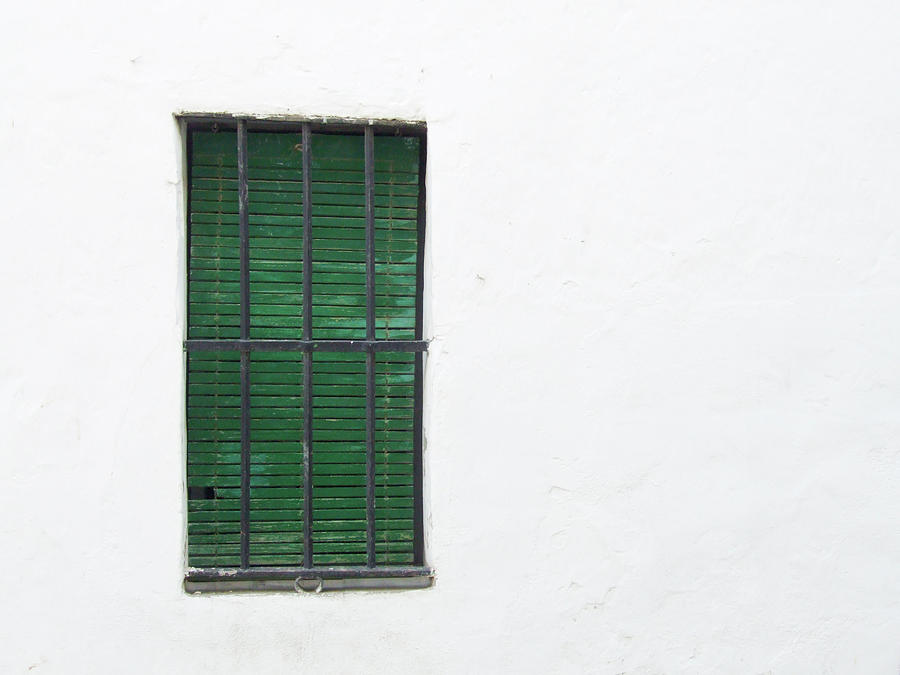 Green Shuttered Window Photograph