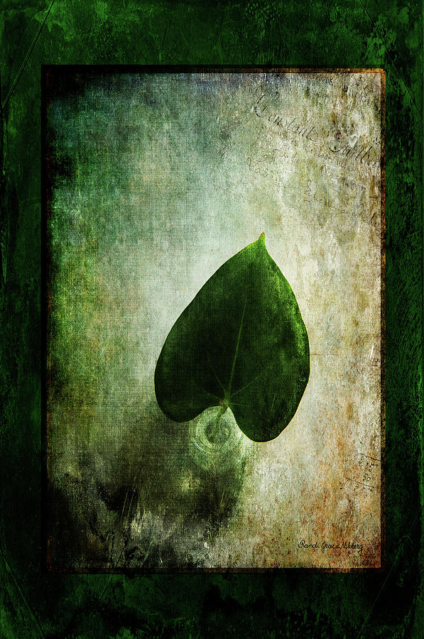 Green Simplicity Photograph by Randi Grace Nilsberg