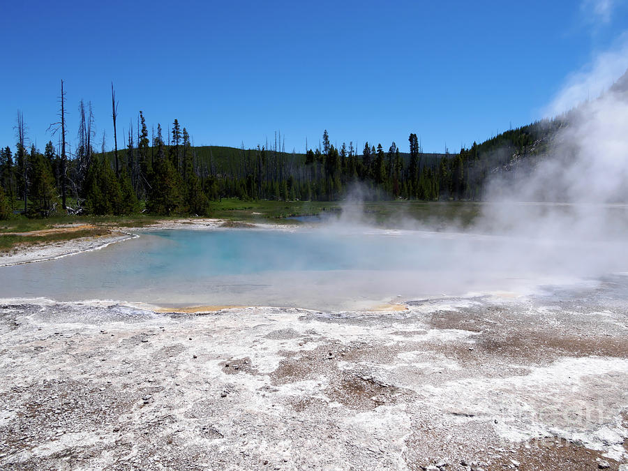 Green Spring Black Sand Basin Yellowstone National Park Photograph by Louise Heusinkveld