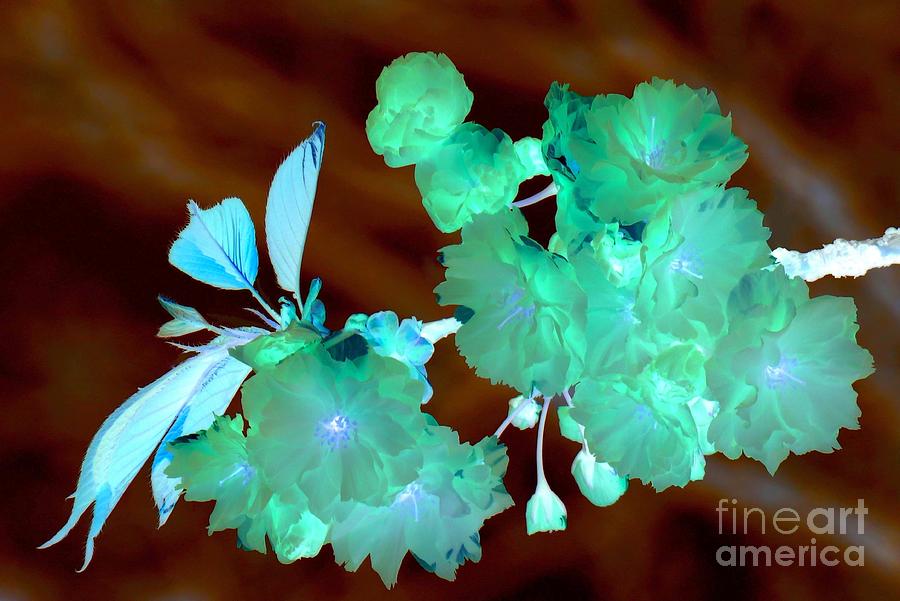 Abstract Photograph - Green Spring by Frank Townsley