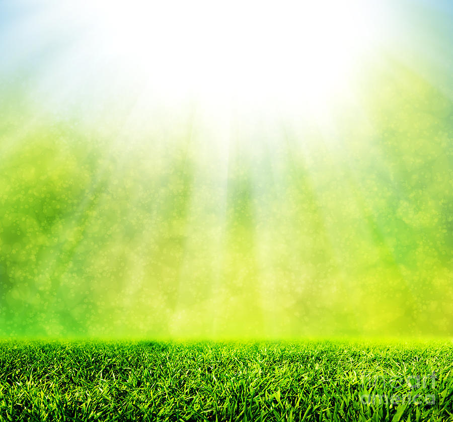 Spring Photograph - Green spring grass against natural nature blur by Michal Bednarek