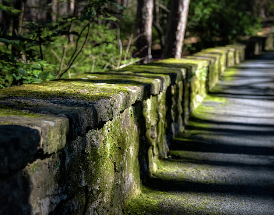 Green Stone Wall Photograph by James Barber