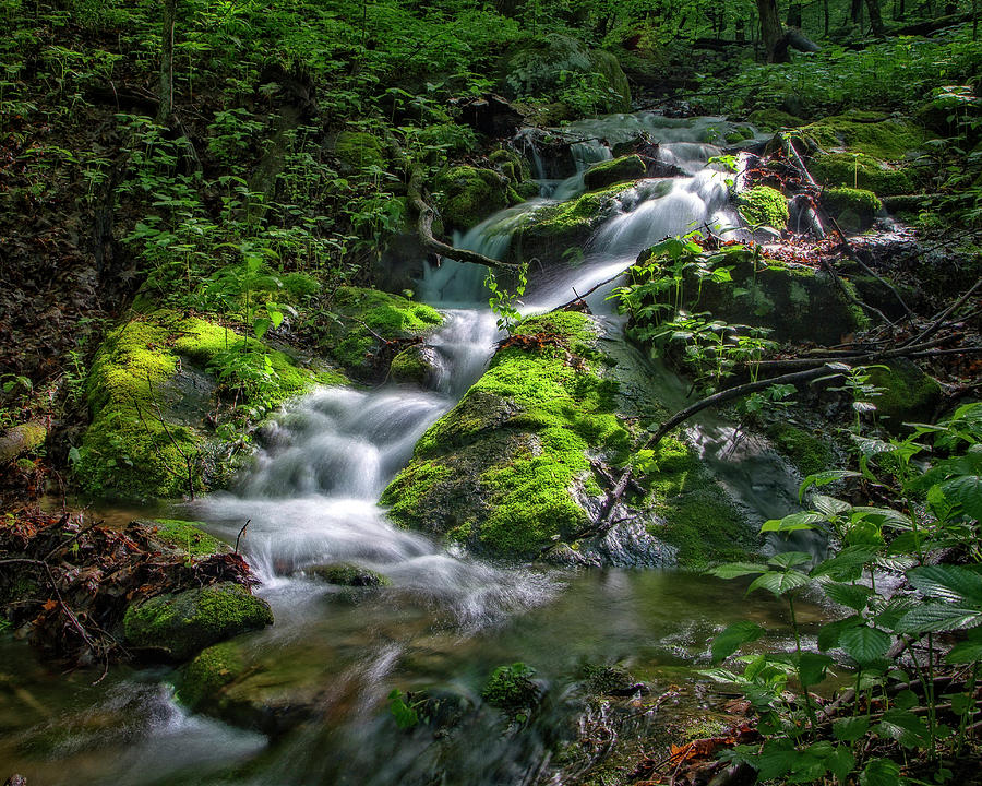 Green Stream Photograph by Alan Raasch
