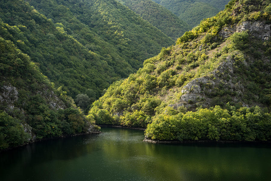 Green Sylvan Mountains Tumbling into a Forest Lake Photograph by Georgia Mizuleva