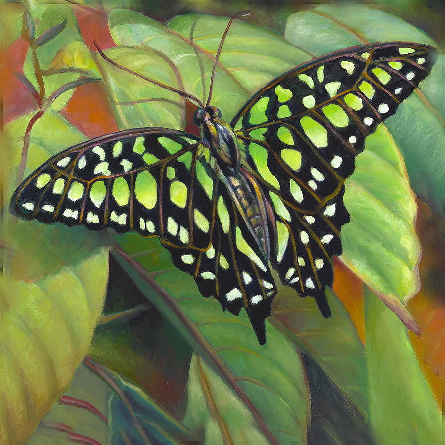 Green Tailed Jay Butterfly Painting by Nancy Tilles